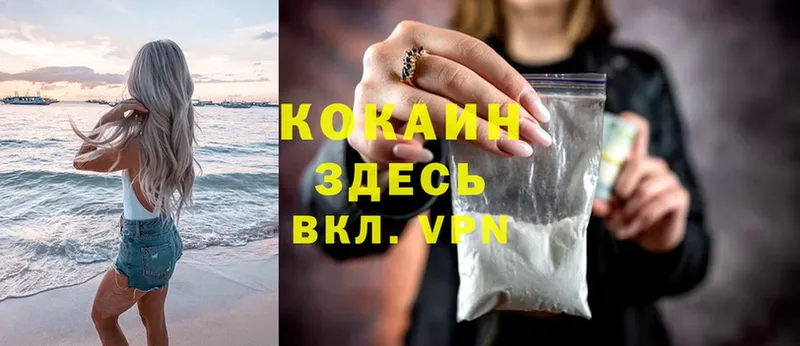 Cocaine Fish Scale  закладка  сайты даркнета клад  Йошкар-Ола 